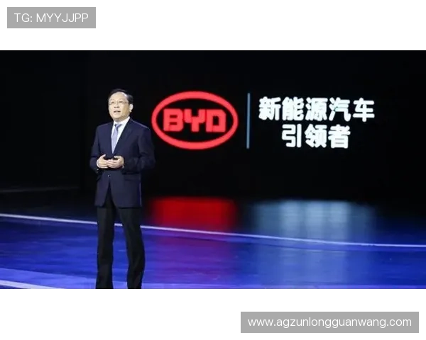 尊龙凯时合作平台：实现资源整合与优势互补的合作新模式