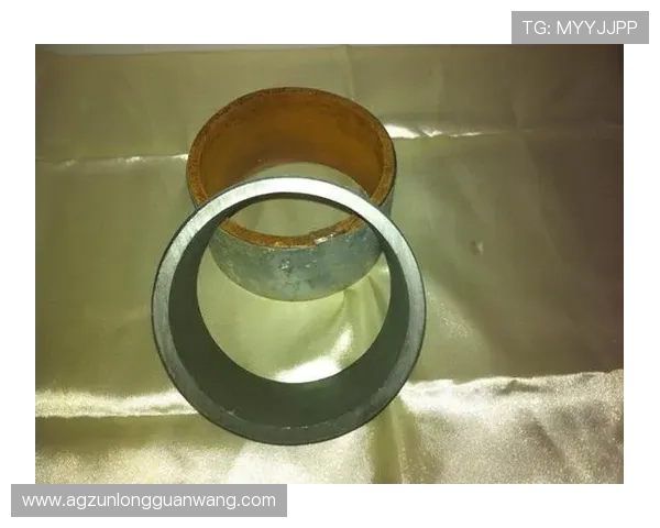 d88尊龙z6游戏活动每日签到奖励与限时任务攻略，助你轻松获取丰富资源