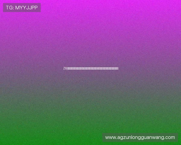 Z6尊龙国际官网客服支持与技术保障，确保玩家在尊龙国际平台上无忧游戏体验