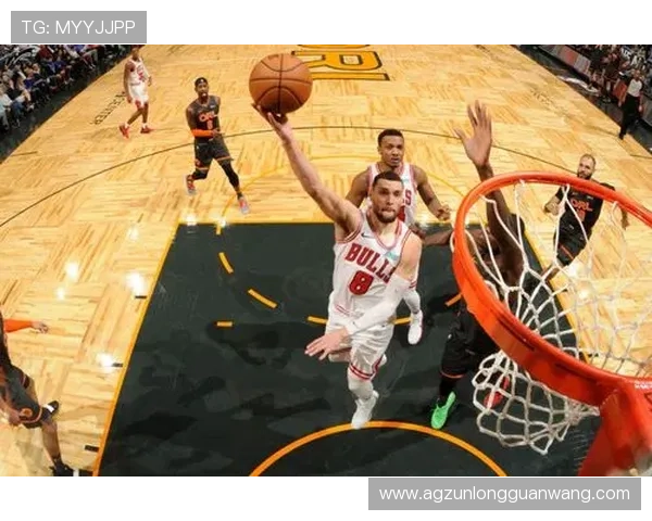 尊龙体育游戏提供专业的赛事直播与回放功能，让用户不错过任何精彩瞬间