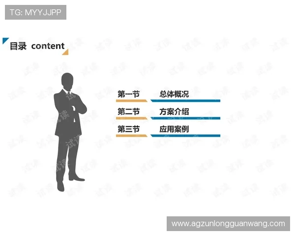 详解尊龙网站入口的安全性与用户隐私保护措施