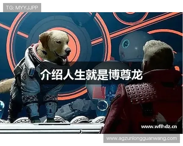 凯时尊龙人生就是博-官网带你了解最新的线上娱乐平台安全保障措施 凯时尊龙人生就是博-官网带你了解最新的线上娱乐平台安全保障措施